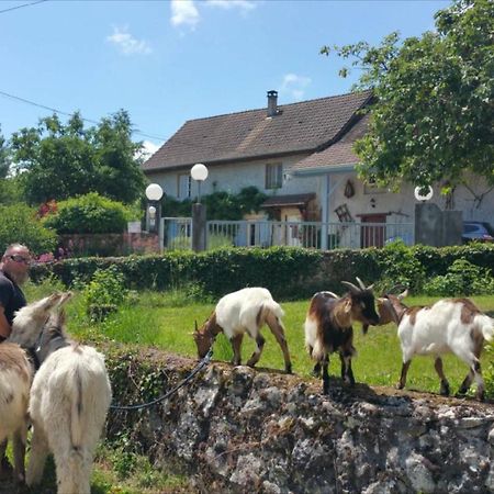 Bed and Breakfast Basse-Cour De Montin Au 256 Chemin De La Rocaille A 38510 Vezeronce Curtin Morestel Екстер'єр фото