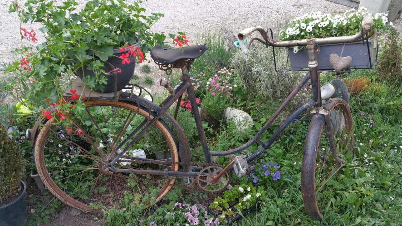 Bed and Breakfast Basse-Cour De Montin Au 256 Chemin De La Rocaille A 38510 Vezeronce Curtin Morestel Екстер'єр фото